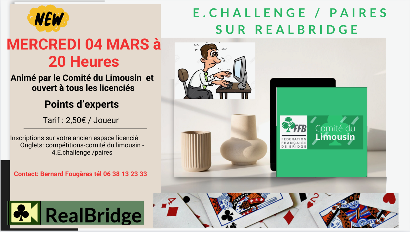 6ème séance du E-Challenge du Comité sur Realbridge