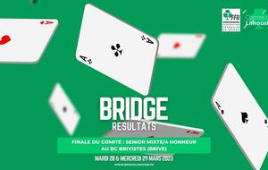 Finale de Comité : SM Mixte/4 Honneur à Brive