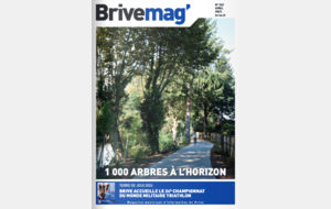 Brive Mag': Article sur le Bridge Champion du Limousin !