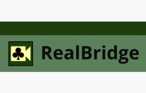 Simultanés des élèves sur RealBridge
