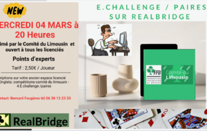 6ème séance du E-Challenge du Comité sur Realbridge