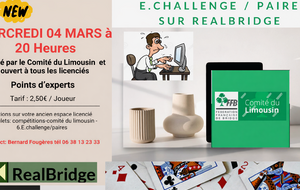6ème séance du E-Challenge du Comité sur Realbridge