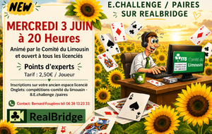Dernière séance du E.Challenge par paires du Comité