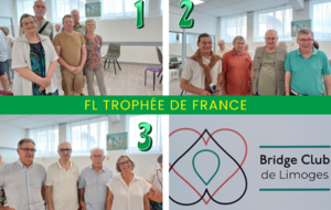Finale de Ligue Trophée de France à Limoges