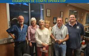 Finale de Comité OpenX4 Expert