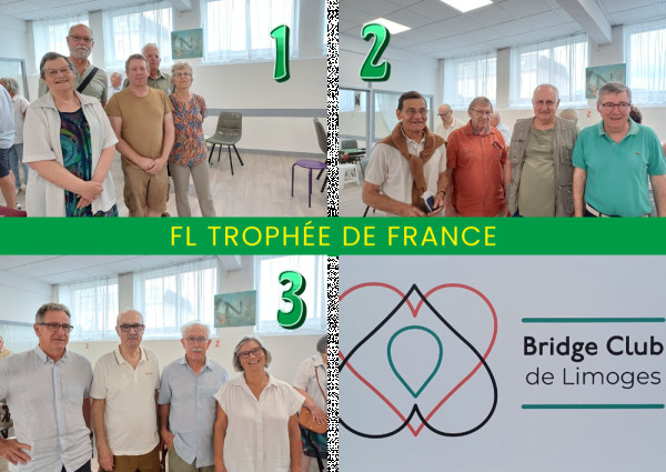 Finale de Ligue Trophée de France à Limoges