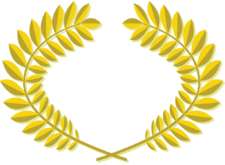 Trophée de France, finale de ligue : le Comité du Limousin à l'honneur