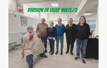 Division de Ligue Mixte X 2