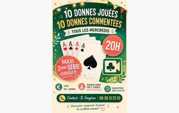 Tournoi Débutants sur Realbridge