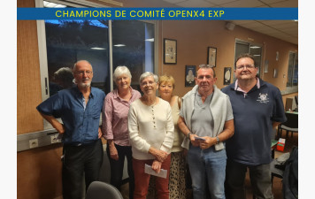 Finale de Comité OpenX4 Expert