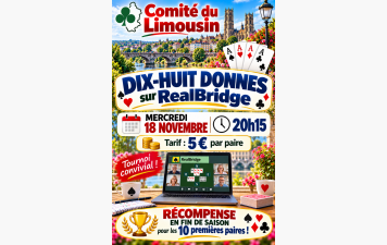 E-Challenge du Comité sur RealBridge