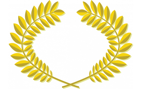 Finale de Comité Open X 4 Expert