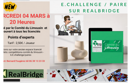 6ème séance du E-Challenge du Comité sur Realbridge