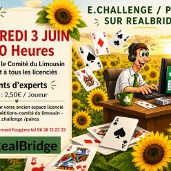 Dernière séance du E.Challenge par paires du Comité